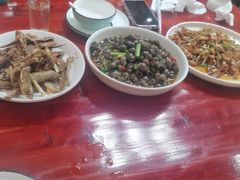 -芦茨金富饭庄·25年老字号·专做稻草鸡