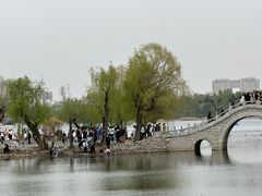 -长春市南湖公园