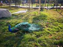 -云南艺术学院(呈贡校区)