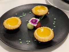 酥皮蛋挞-伯衡55·吉品轩(乌鲁木齐南路店)