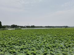 -重元寺香积厨素斋馆