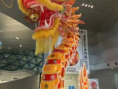 -深圳市当代艺术与城市规划馆
