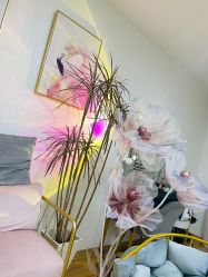 -美肤盾祛痘·问题肌头疗管理中心