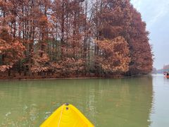 -上海海湾国家森林公园