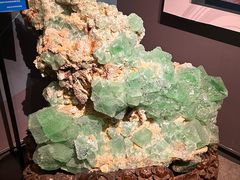 -湖南省地质博物馆