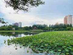 -青城公园