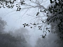 -萍乡武功山风景名胜区