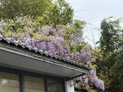 -西山人家·二十年老字号农家菜(旺山店)