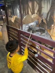 -酷嗒动物文化乐园(cutezoo西溪乐天城店)