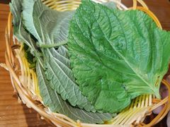 -红辣椒八爪鱼特色韩国料理