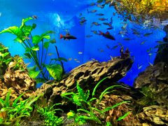 -太平洋海底世界