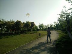 -白鹭湾湿地公园