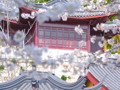 -南京城墙景区