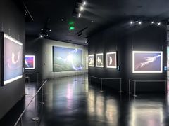 -罗红摄影艺术馆