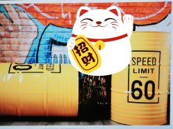 -星豆豆儿童摄影(南郊太白南路店)