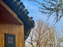 -春风习习