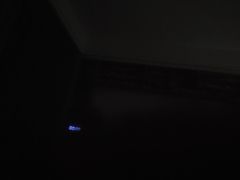 -宠颐生斯嘉宠物医院·急重症·心内科(谷阳北路分院)