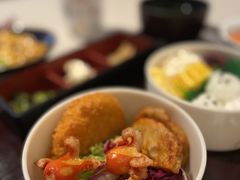 -dodonpa.墩墩伐 便当食堂(博华广场店)