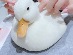 -RU DUCK柯尔鸭公社·撸鸭俱乐部·羊驼·小香猪