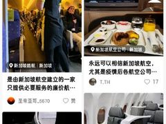 -新加坡航空公司(ION)