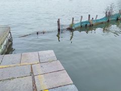 -济南大明湖景区