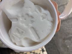 椰子雪糕-洪馨椰子
