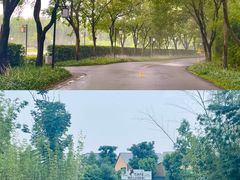 -天目湖涵田度假村
