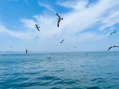 -大连海昌东方水城