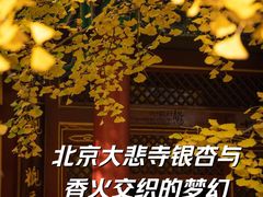 -八大处公园