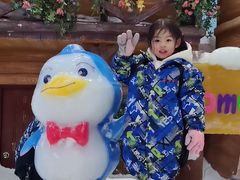 -世界之窗阿尔卑斯冰雪世界