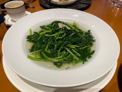 -广州富力君悦大酒店空中花园