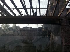 -南昌动物园