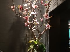 -宋宴(虎跑店)