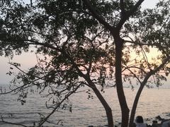 -深圳湾公园(南山区)