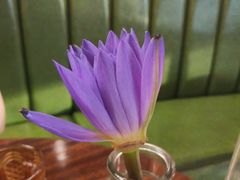 -苏梅花园(群星城店)