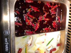 鸳鸯锅底-九鼎轩脆毛肚火锅(三钢里店)