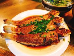 香煎马头鱼-和记菜馆