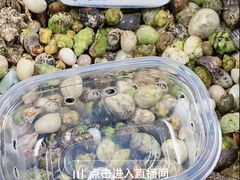 -娜娜大盘鸡(景华路店)