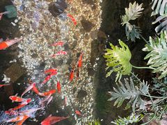 -聚缘堂·海鲜私房菜(松岭路店)