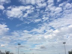 -春花秋色城市公园