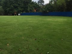 -南宁良凤江国家森林公园