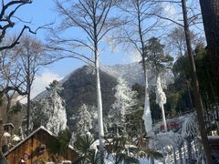 -藏龙百瀑风景区