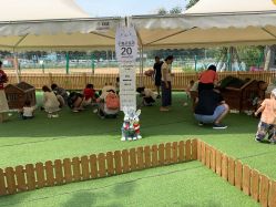 -萌宠亲子动物乐园(槐房万达店)