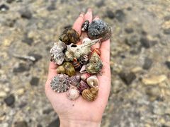-石螺口海滩
