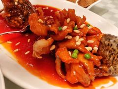 松鼠桂鱼-顺风海鲜港(长寿路店)
