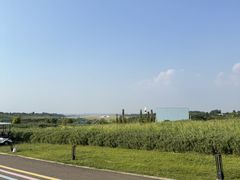 -空港花田景区