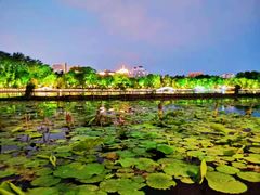 -济南大明湖景区
