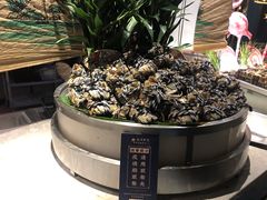 -五月罗马海鲜自助餐厅(陆家嘴店)