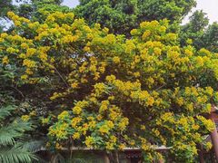 -寮步香市古镇休闲景区