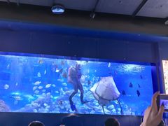 -重庆欢乐海底世界